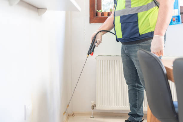 Best Rat Extermination Near Me  in Lookout Mountain, AL