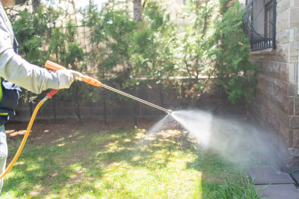 Best Pest Removal Services  in Lookout Mountain, AL