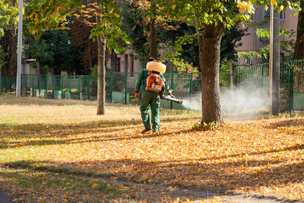 Best Flea Control Services  in Lookout Mountain, AL
