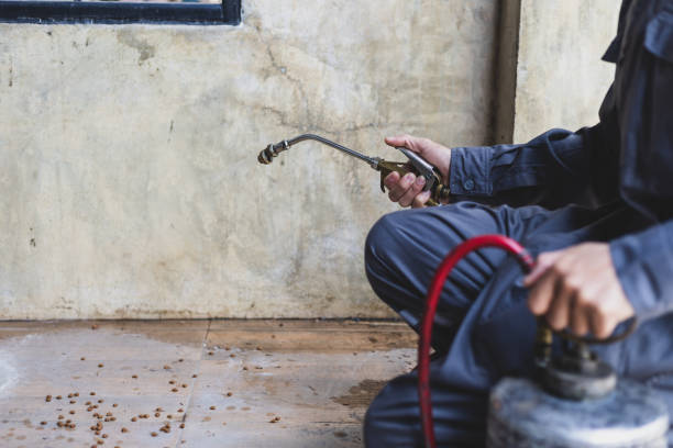 Best Mosquito Control Services  in Lookout Mountain, AL